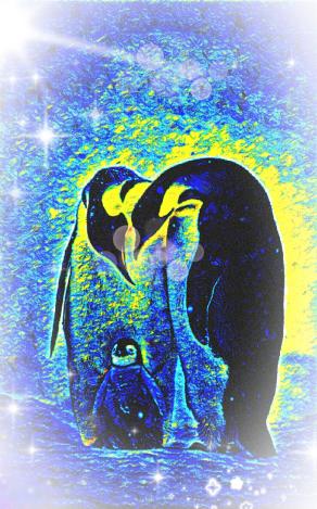 La vera forza non è volare in alto..ma restare uniti a terra..proprio come fanno i pinguini...