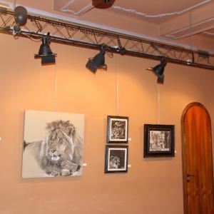 ANIMALS ART al Club La Meridiana di Modena