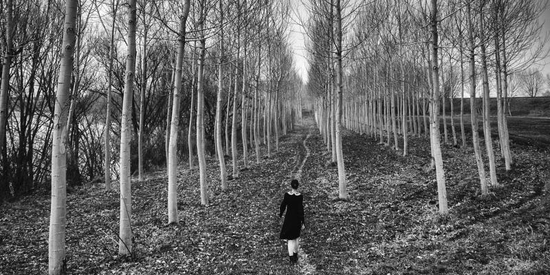 Little Human Artworks