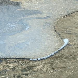 Italy. Val d'Aosta. White and his reflexes