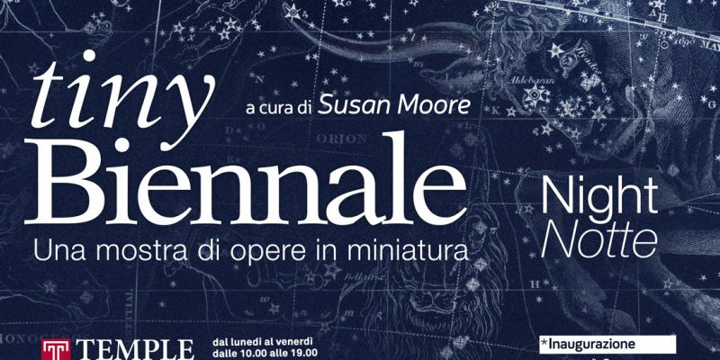 tiny biennale- Night- 6°edizione by Susan Moore tiny biennale- Night- 6°edizione by Susan Moore